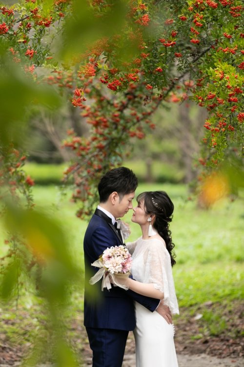 たわわに実る赤い実の枝越しに見つめ合う新郎新婦。ネイビースーツと白いウェディングドレスで撮るロケーション前撮り