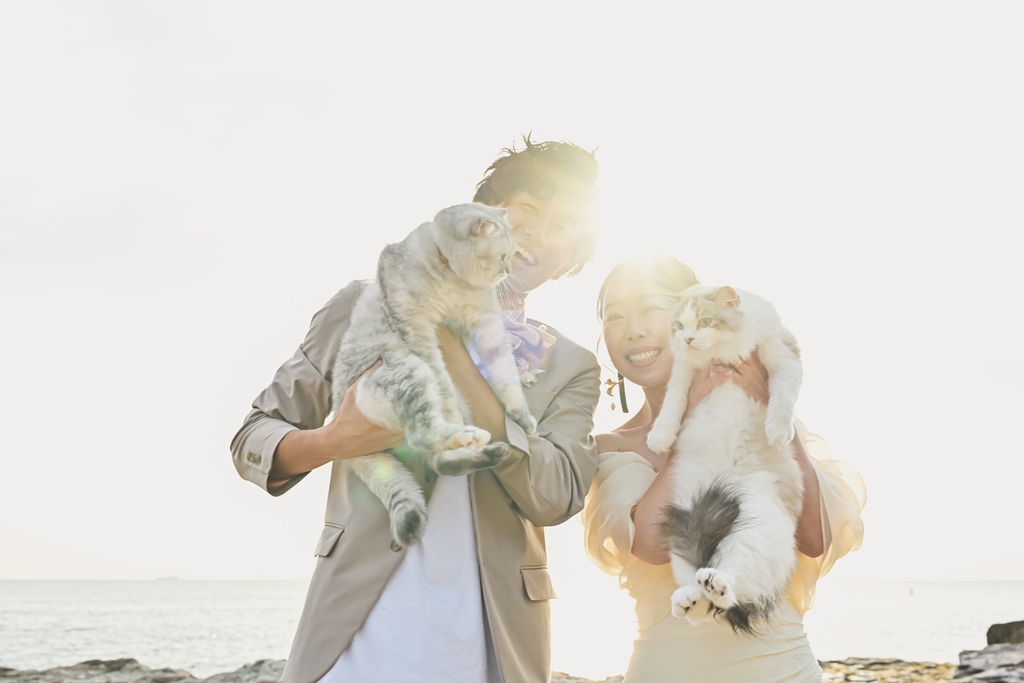 自然光が輝く中、猫と一緒にフォトウェディング