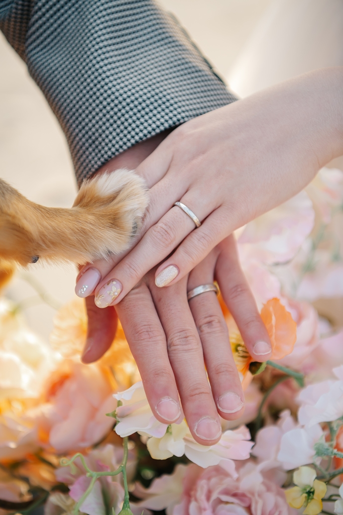 ふたりと愛犬の手
