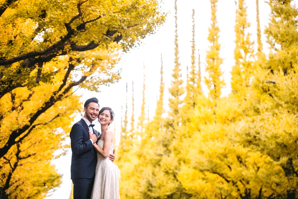 外苑前いちょう並木