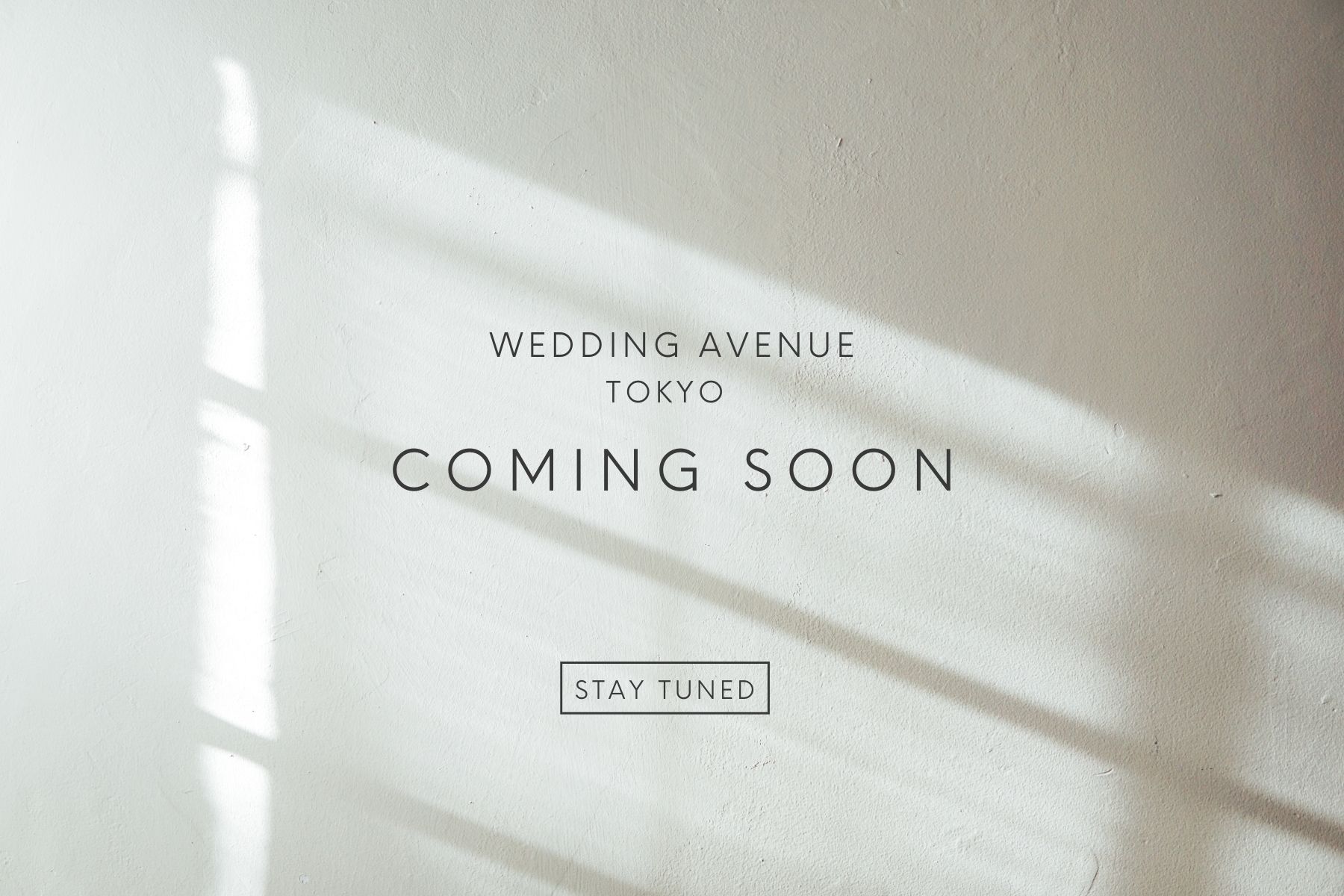 洋装モダンスタジオフォト