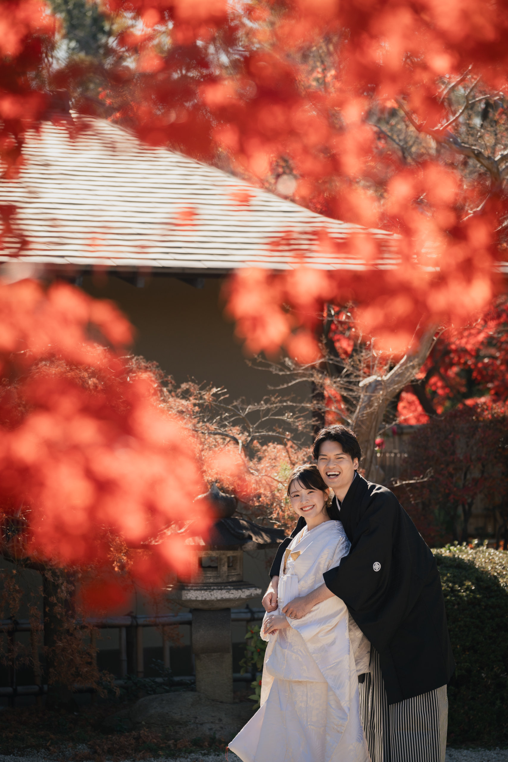 真っ赤な紅葉越しに、白無垢の花嫁と黒紋付羽織袴の新郎が寄り添って笑う日本庭園での和装前撮り