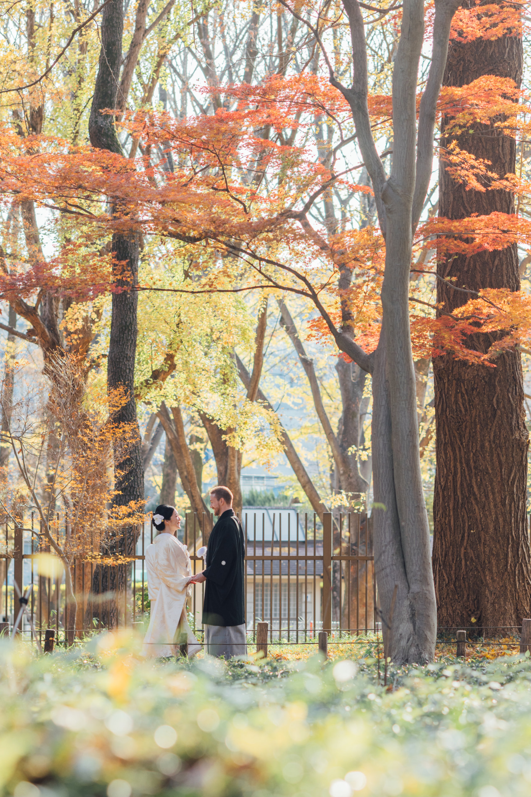 蘆花恒春園の季節の表情、初夏の新緑または秋の紅葉が旧宅や竹林と調和した美しい景観