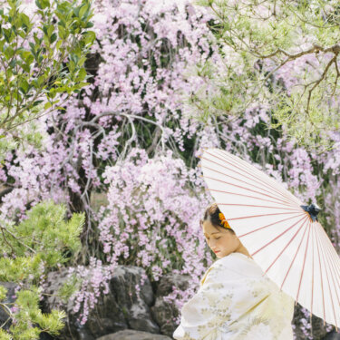 日本庭園の池のほとりで枝垂れ桜を背に白い和傘を差す、淡い花柄の色打掛の花嫁。春の桜で撮る和装前撮りのロケーションフォト