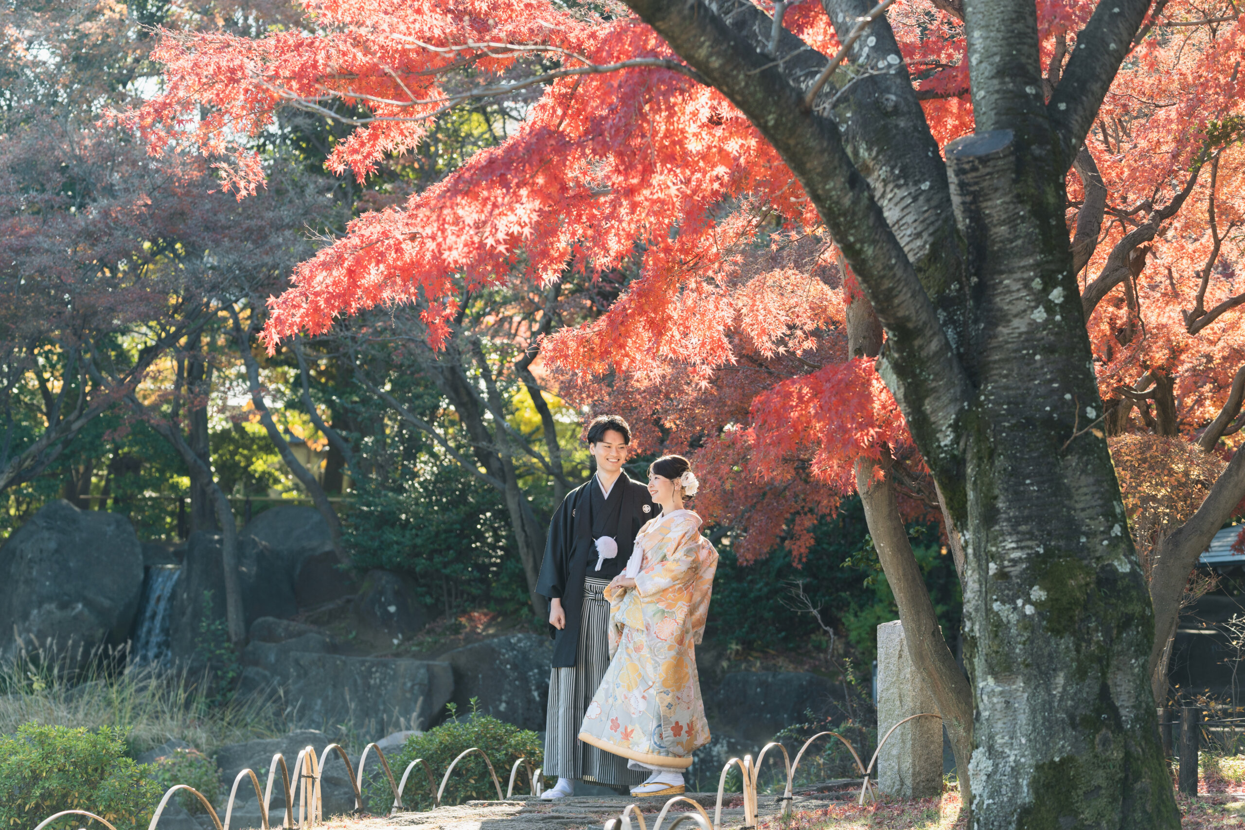 真っ赤なもみじと小さな滝のある日本庭園で、寄り添って見つめ合う黒の紋付袴の新郎と淡い色打掛の花嫁。紅葉の和装前撮り