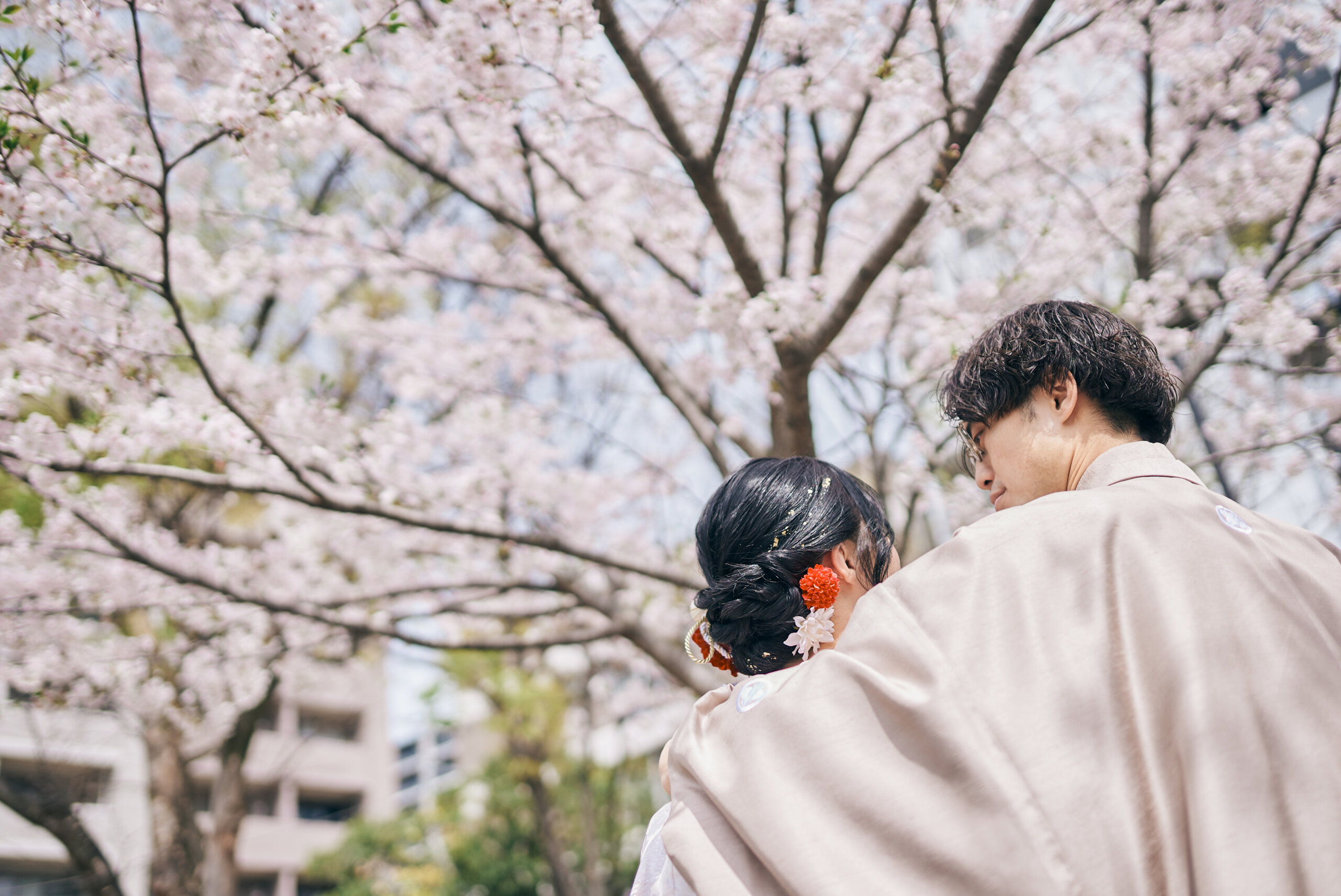 甘泉園公園の満開の桜を背景にした白無垢姿の新婦と紋付袴姿の新郎