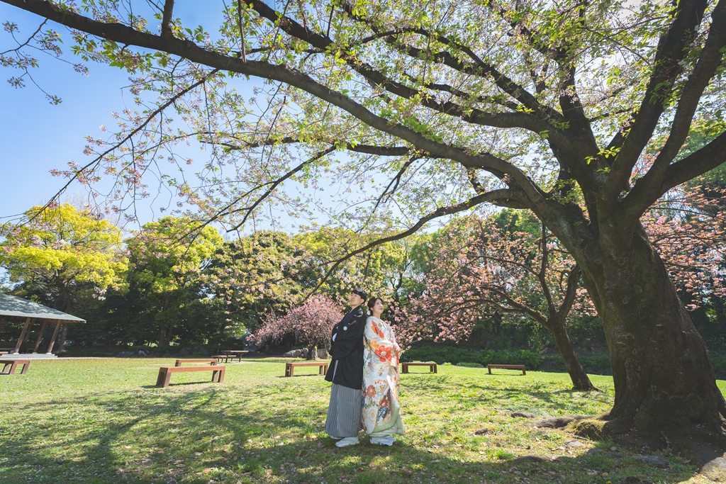 清澄庭園の自由広場の大きな木の下に立つ色打掛の花嫁と紋付袴の新郎。芝生が広がる和装ロケーションフォトのスポット