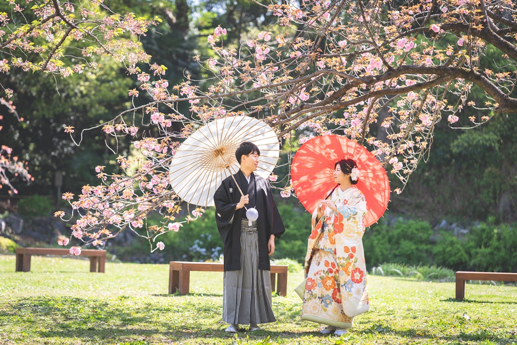 清澄庭園の満開の桜の下で和傘を差す色打掛の花嫁と紋付袴の新郎。春の和装前撮り