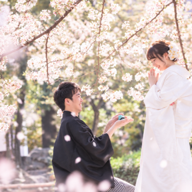 満開の桜の下でリングボックスを差し出す紋付袴の新郎と、手を合わせて喜ぶ白無垢の花嫁。桜の和装前撮りで撮るプロポーズのポーズ