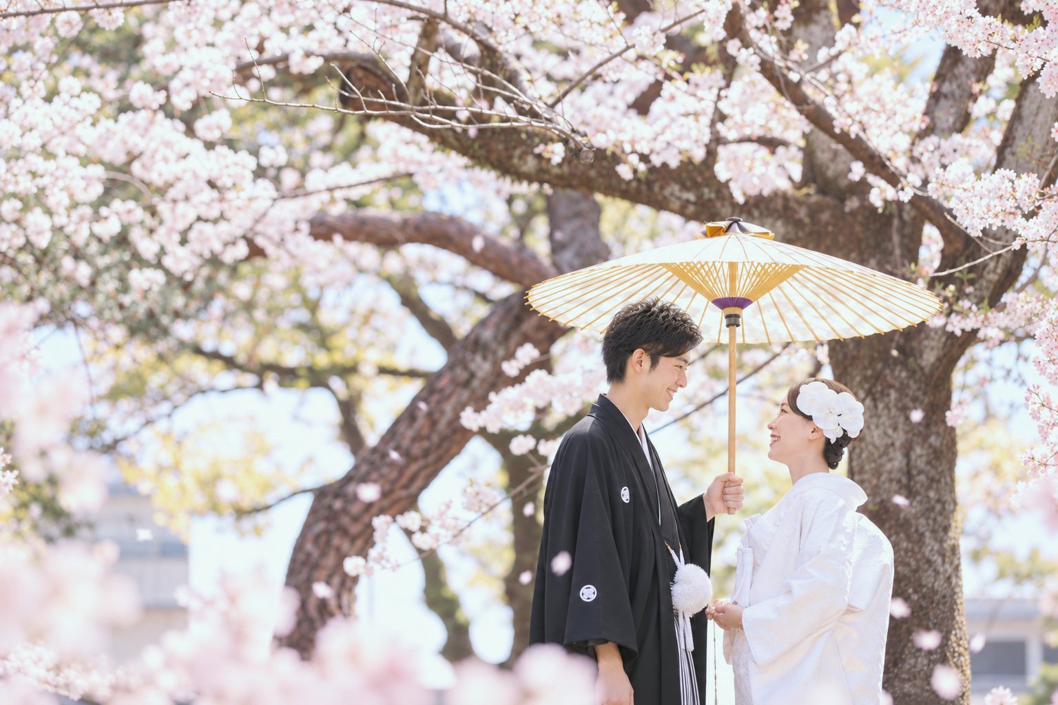 満開の桜の下、和傘を差しかけて白無垢の花嫁と微笑み合う紋付袴の新郎。桜で撮る春の和装前撮り